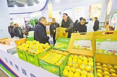 农交会“观展攻略”请收好