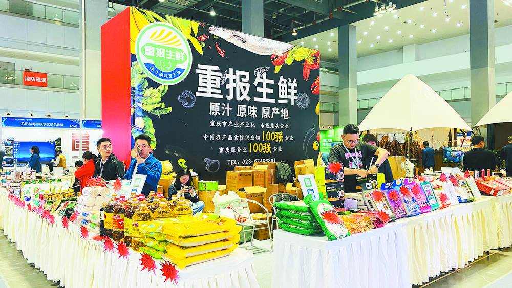 共绘美好生活 见证文化的力量